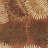 Delview Floral Handmade Tufted Wool Area Rug-889733334-867195758