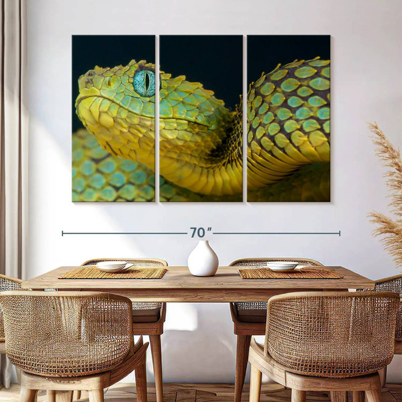Brampt African Bush Viper, 42" H x 65" W