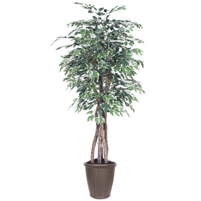 72'' Faux Tree in Pot