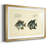 " Bloch Antique Fish II "-1316771563-1316771572
