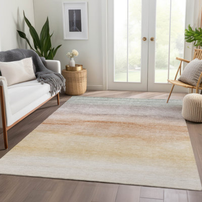 Machine Washable Indoor/Outdoor Christain ACN1253 Coral Rug