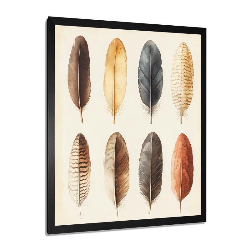 Plumes du bureau du naturaliste - Tableau encadré d'histoire naturelle, H 32 po x l 24 po, Black Picture Framed