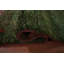Tapis décoratif tribal vert Gabbeh 3 x 5