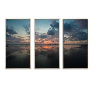«Matapalo In Costa Rica Beach Sunset», ensemble d'art mural sur toile encadré 3 pièces