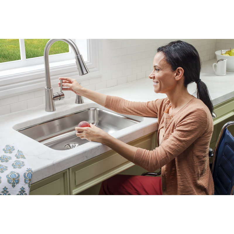 Lustertone Classic 24" L x 18" W Undermount Kitchen Sink