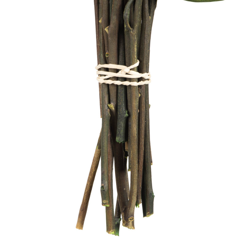 18'' Plant