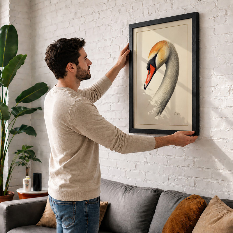 Swan in Profile Botanical - Framed Print, A2 - 59.4 x 42.0 cm, Walnut