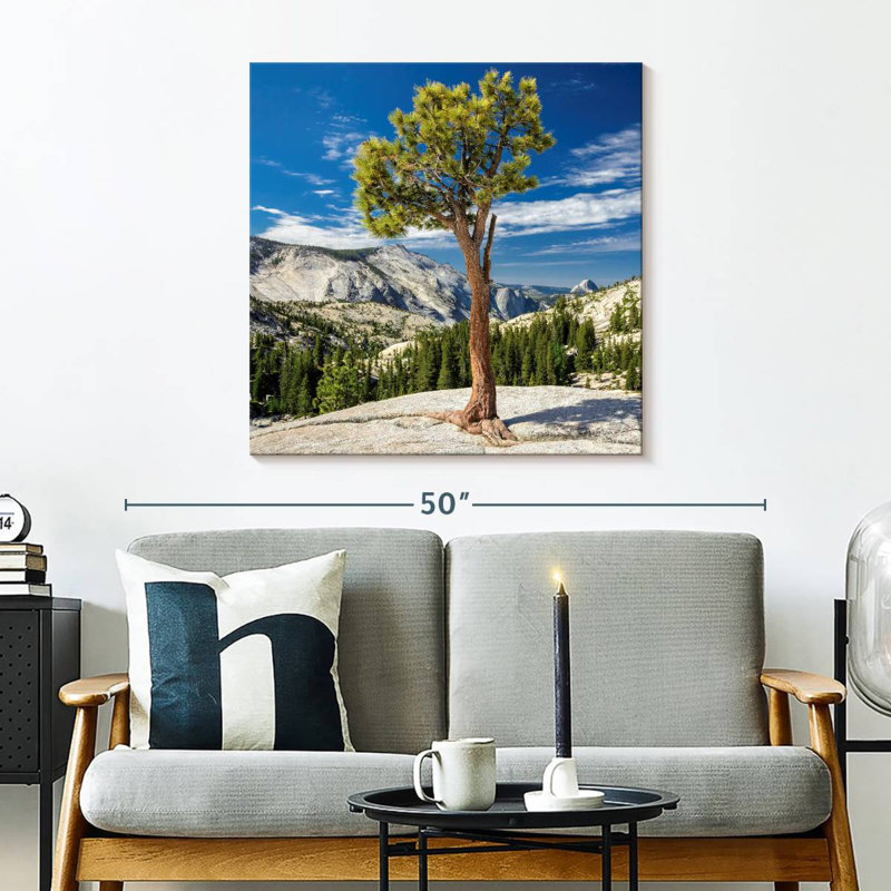 Arbre Harnek Yosemite Park, H 30 po x l 30 po