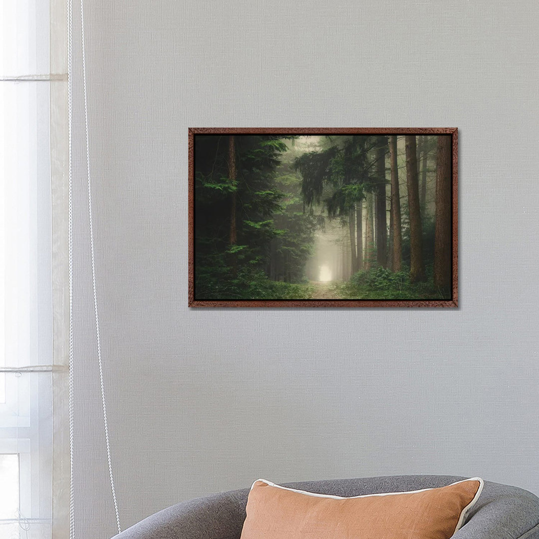 Grüner nebliger und stimmungsvoller Wald von Rob Visser - Galerie-verpackte Leinwand Giclée