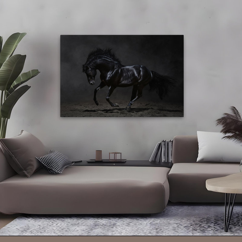 Onyx - photographie, animaux, chevaux, art, H 32 po x l 48 po