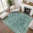 Premium Machine Washable Otte AMF1773 Border Rug-740584936