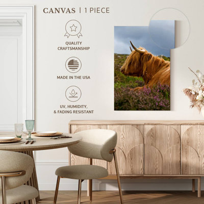 Bramil Heilan Coo dans un champ de lavande