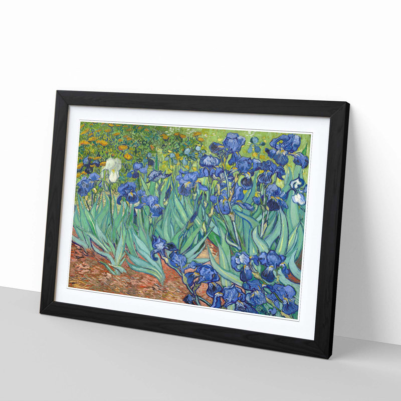 Iris Irises Flowers by Vincent Van Gogh - Framed Print, Black