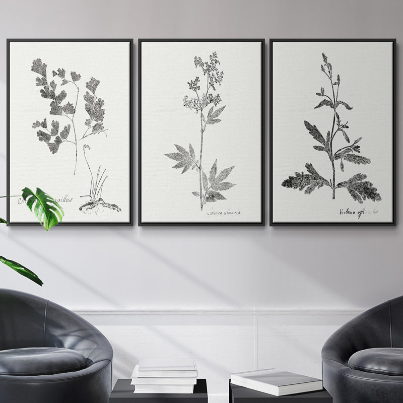 Botanical Imprint I 3 pièces, H 36 po x l 72 po, Noir