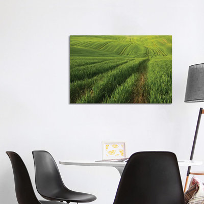 Spring In Tuscany XV by Daniel Kordan - Wrapped Canvas Print