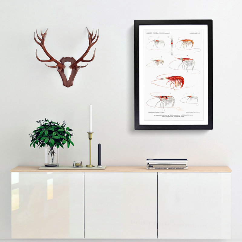 Selection of Shrimp by Albert I - Picture Frame Painting Print, Black Framed, 65cm H x 48cm W x 2cm D