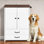 Dog Feeding Station with Adjustable Bowls and Storage Cabinet