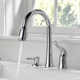 Kate Pull Down Sprayer Kitchen Sink Faucet with Matching Soap Dispenser
