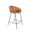 Feston Counter & Bar Stool-49384434-49384433