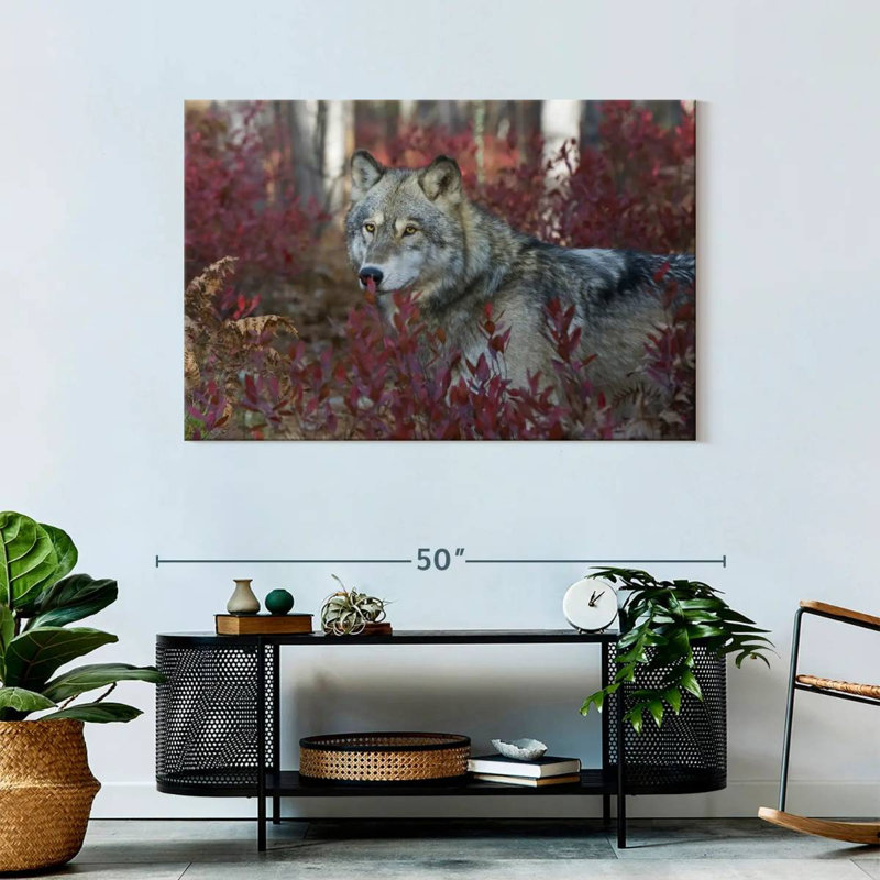 Brampt Gray Timber Wolf, 30" H x 45" W