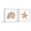 Starry Shell - 2 Piece Single Picture Frame Painting-61191214