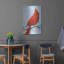 «Cardinal I» par Phyllis Adams-771163611