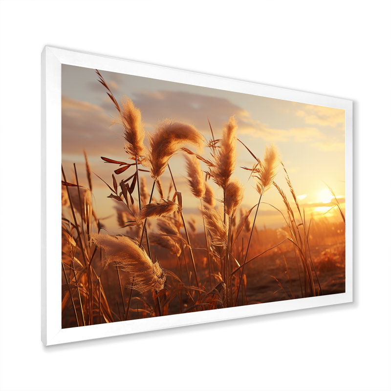Coucher de soleil, Meadows d'été I, H 12 po x l 20 po x P 1 po, Cadre simple blanc
