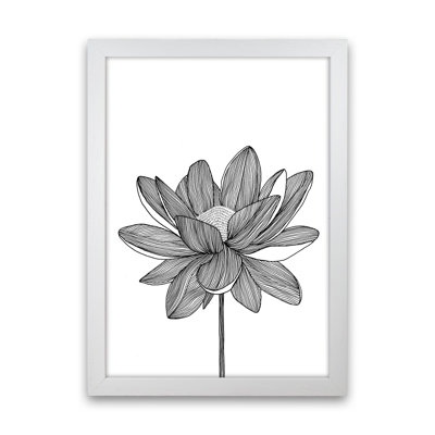 Lotus by Carissa Tanton - Print