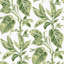 Green Caryota Peel & Stick Wallpaper