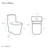 Concorde One Piece Square Toilet Dual Flush in Matte Black, Black Hardware 1.1/1.6 gpf-121280653-121280655