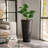 Pot Planter-638407530