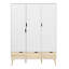 Litzy 3 Door Manufactured Wood Wardrobe