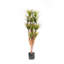Arbre de dracaena artificiel en pot 60 po