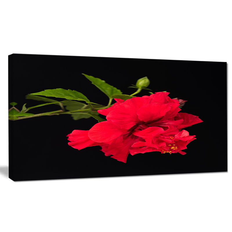 Hibiscus rouge vif sur fond noir - impression sur toile tendue, H 16 po x l 32 po x P 1 po