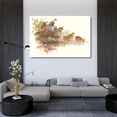 Quail Family HAD-2452