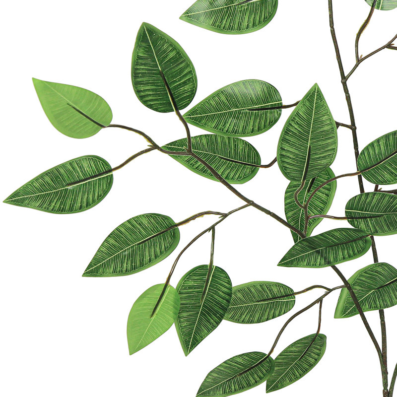 Ficus artificiel, tige, plante, verdure, feuillage, branche
