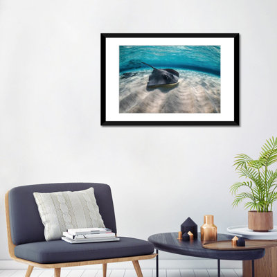 « stingrays nageant the ocean floor the ocean », reproduction de photo sur toile