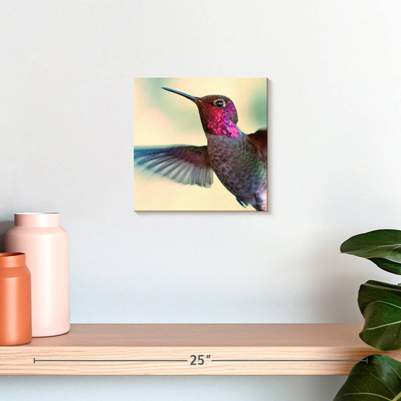 Brampt Flying Anna's Hummingbird, 10" H x 10" W