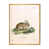 Gold Floater Frame