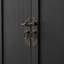 Thaki Solid Wood Accent Cabinet
