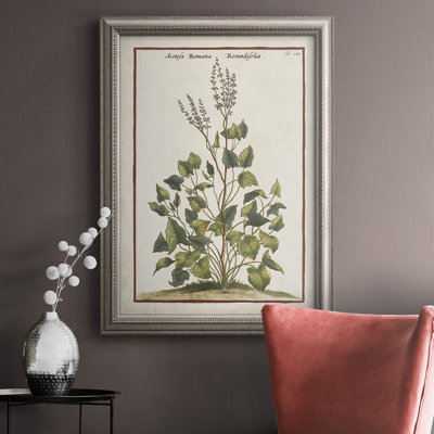 " Munting Botanicals V "