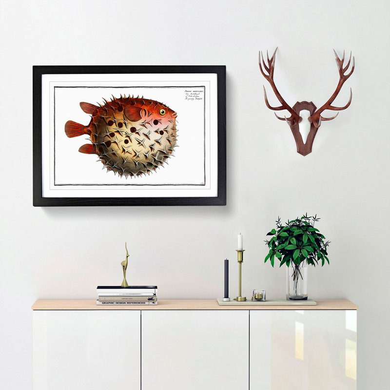 Prickly Blowfish by M.E. Bloch - Framed Print, Black, 60cm H x 91cm W x 2cm D