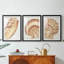 «Vintage Shell Vignette I», impression encadrée sur mesure de qualité supérieure mate - 3 pièces-2126711607-2126711601