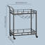 Aarnav Metal Bar Cart-1865292101