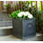 Hillevi Planter-1661493425-1661493422
