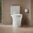 Veil Two-Piece Elongated Toilet With Skirted Trapway 1.28 GPF-97851094-101379920