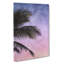 Palm Tree During Sunset - Wrapped Canvas-56658960