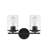 Ambroz 2-Light Dimmable Vanity Light in Matte Black-555498480