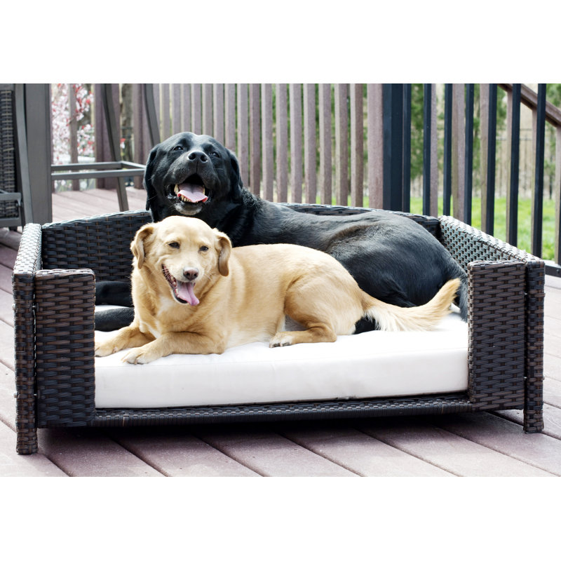 Canapé pour chien en rotin Cristobal, Moyen (l 35 po x P 23,5 po x H 12 po)
