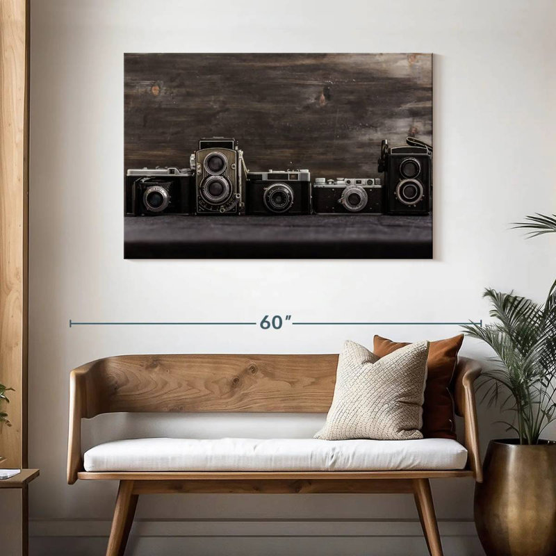 Collection d'appareils photo vintage Senne, H 30 po x l 45 po